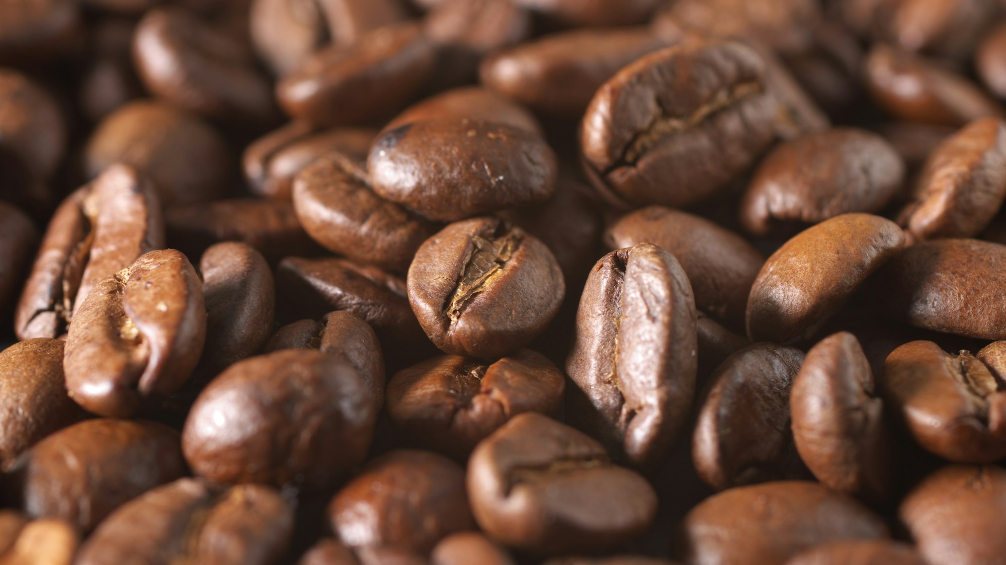 Coffee beans in a preparation setting